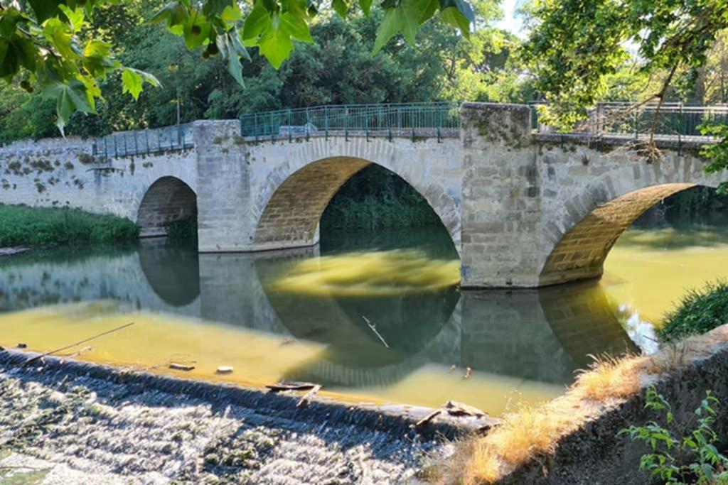 Apartmán Diamond - Gite Dans Vieux Prieure Pres De Carcassonne Sainte-Eulalie  Exteriér fotografie