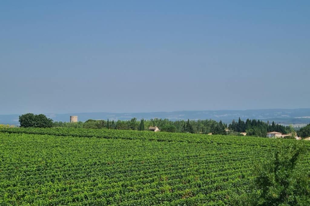 Apartmán Diamond - Gite Dans Vieux Prieure Pres De Carcassonne Sainte-Eulalie  Exteriér fotografie