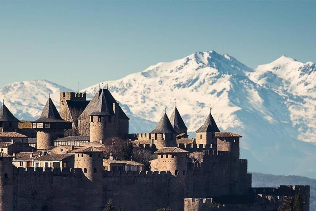 Apartmán Diamond - Gite Dans Vieux Prieure Pres De Carcassonne Sainte-Eulalie  Exteriér fotografie