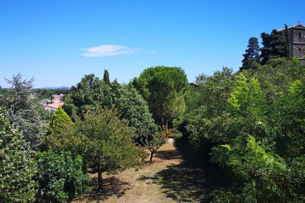 Apartmán Diamond - Gite Dans Vieux Prieure Pres De Carcassonne Sainte-Eulalie  Exteriér fotografie