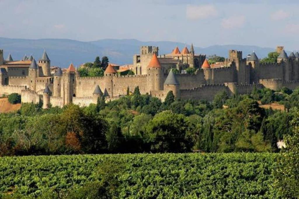 Apartmán Diamond - Gite Dans Vieux Prieure Pres De Carcassonne Sainte-Eulalie  Exteriér fotografie